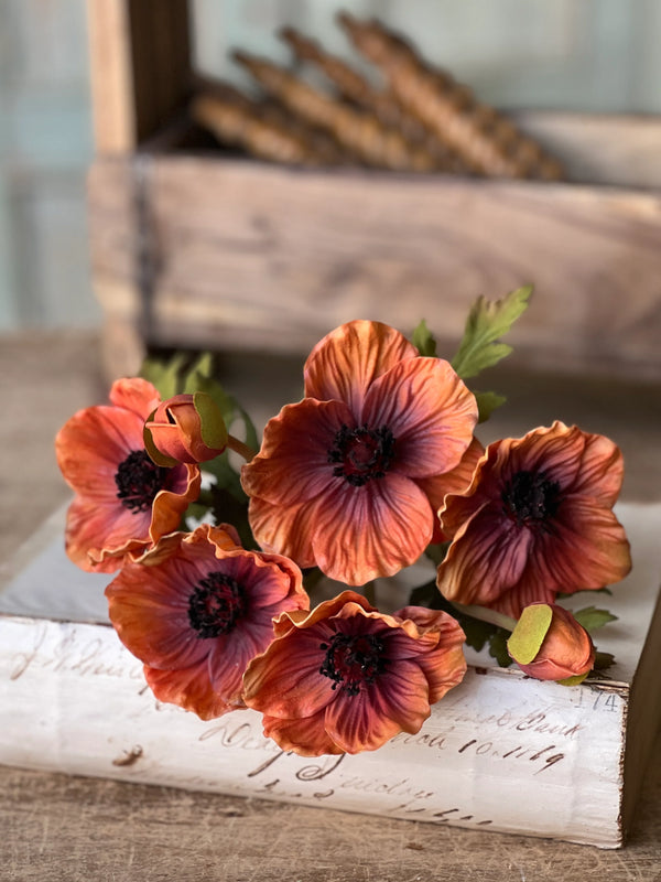Terracotta Luring Poppy Bundle Real Touch 10"