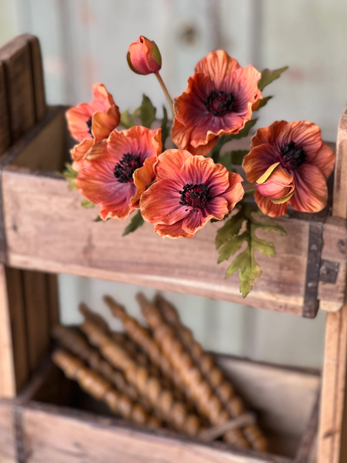 Terracotta Luring Poppy Bundle Real Touch 10"