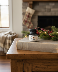 Rustic Cardinal Resin Snowman Head