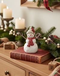 Rustic Cardinal Resin Snowman