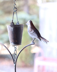 Bronze Patina Bucket with Bird Rain Chain