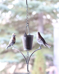 Bronze Patina Bucket with Bird Rain Chain