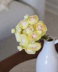 Mini Yellow Ranunculus Bundle 11"