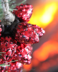Ruby Red Berry Cluster