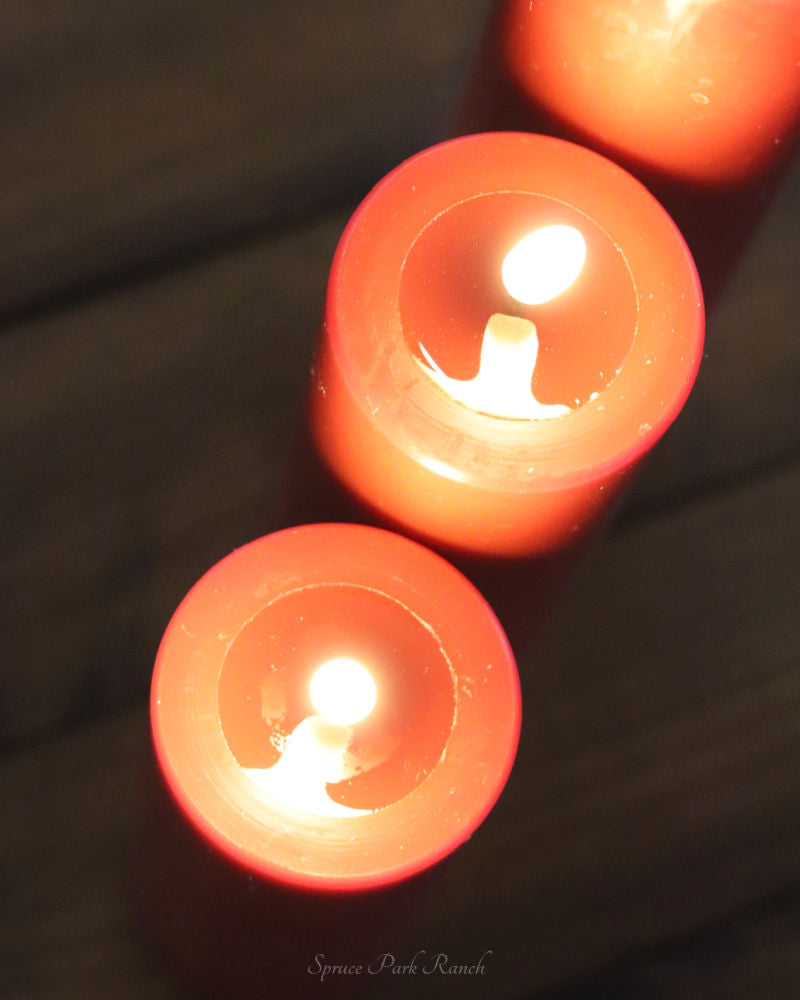 Deluxe Home Bordeaux LED Candles