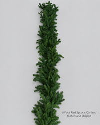 Red Spruce Collection Real Touch