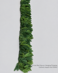 Red Spruce Collection Real Touch