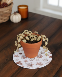 Rooted in Nature Textile Collection