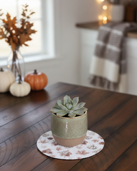 Rooted in Nature Textile Collection