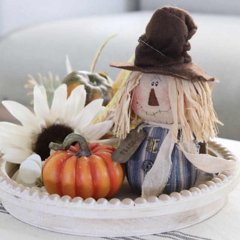 Sage the Scarecrow