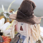 Sage the Scarecrow