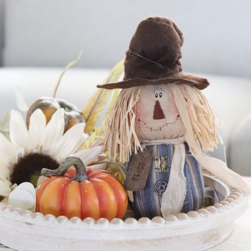 Sage the Scarecrow