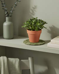 Sage Botanical Textile Collection