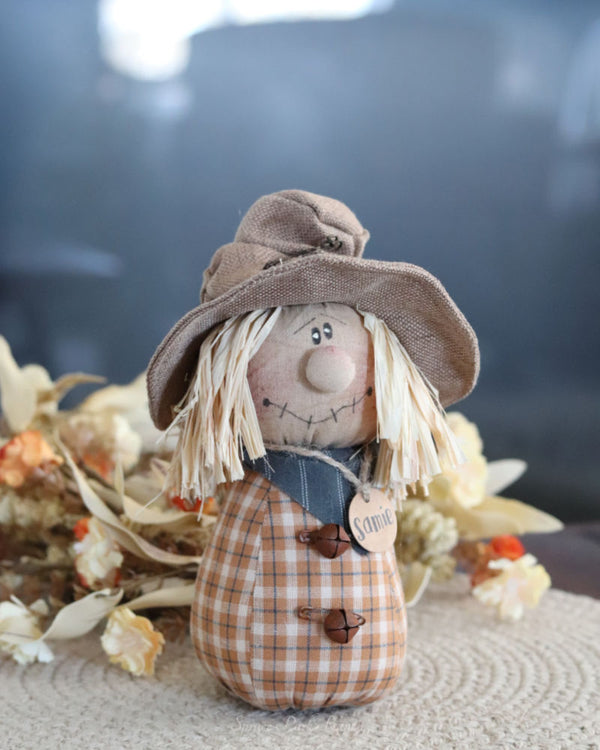 Samie the Goofy Scarecrow
