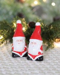 Santa Salt and Pepper Set