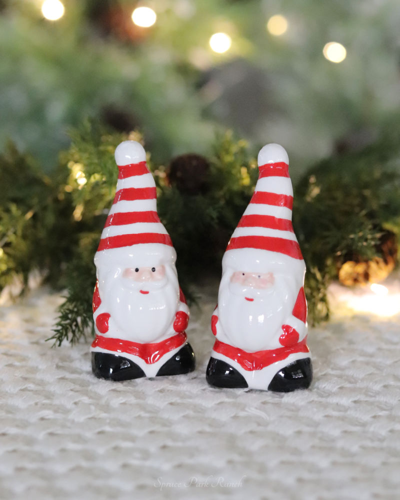 Santa Salt and Pepper Set
