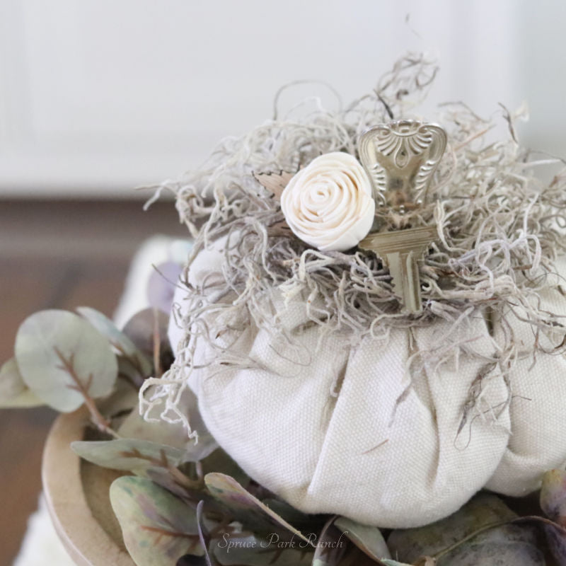 Silver Stem Pumpkin