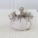 Silver Stem Pumpkin