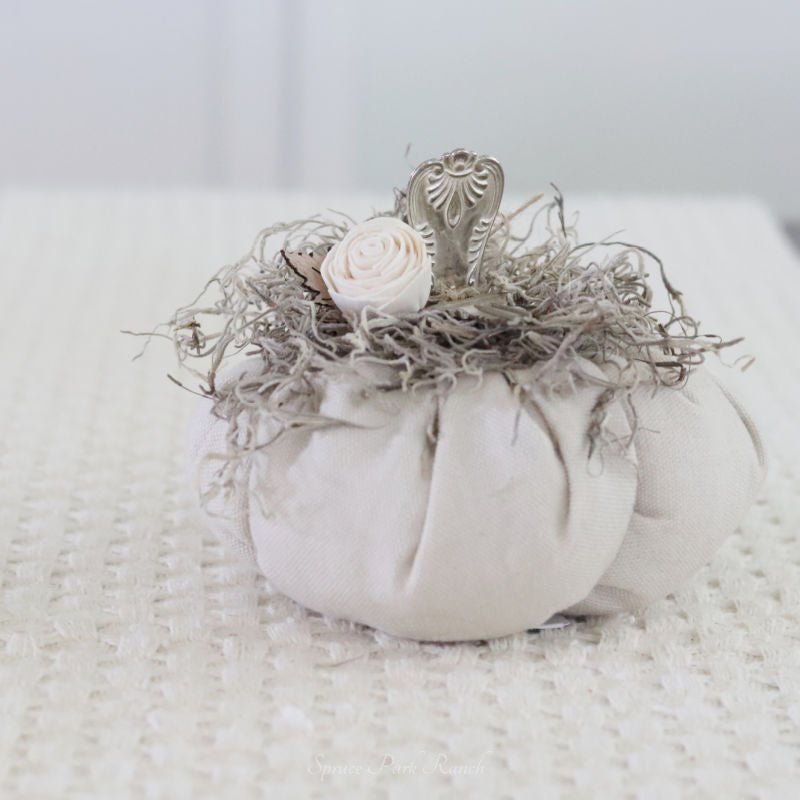Silver Stem Pumpkin