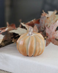 Small Fall Soft Coloured Resin Pumpkin