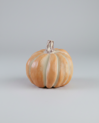 Small Fall Soft Coloured Resin Pumpkin