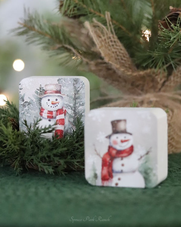 Red Scarf Snowman Mini Block