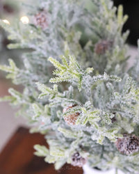 Snowy Juniper Stem With Mini Pinecones 25"