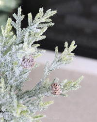 Snowy Juniper Stem With Mini Pinecones 25"