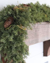 Steadfast Cedar Greenery Collection