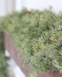 Steadfast Cedar Greenery Collection