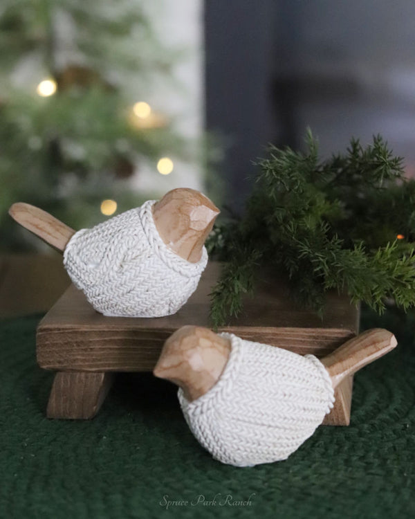 Winter Sweater Bird