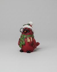 Studious Winter Cardinal