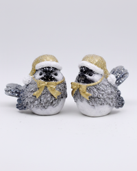 Winter Chickadee with Gold Hat