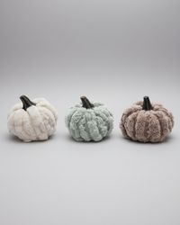 Plush Velvet Neutral Pumpkin