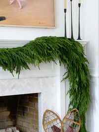 Norfolk Pine Collection Real Touch
