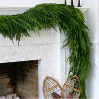 Norfolk Pine Collection Real Touch