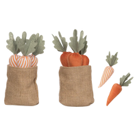 Fabric Spring Carrot in Bag
