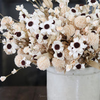 Tan Allium and Blooms Greenery Collection