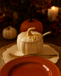 Harvest Pumpkin Covered Bowl with Spoon