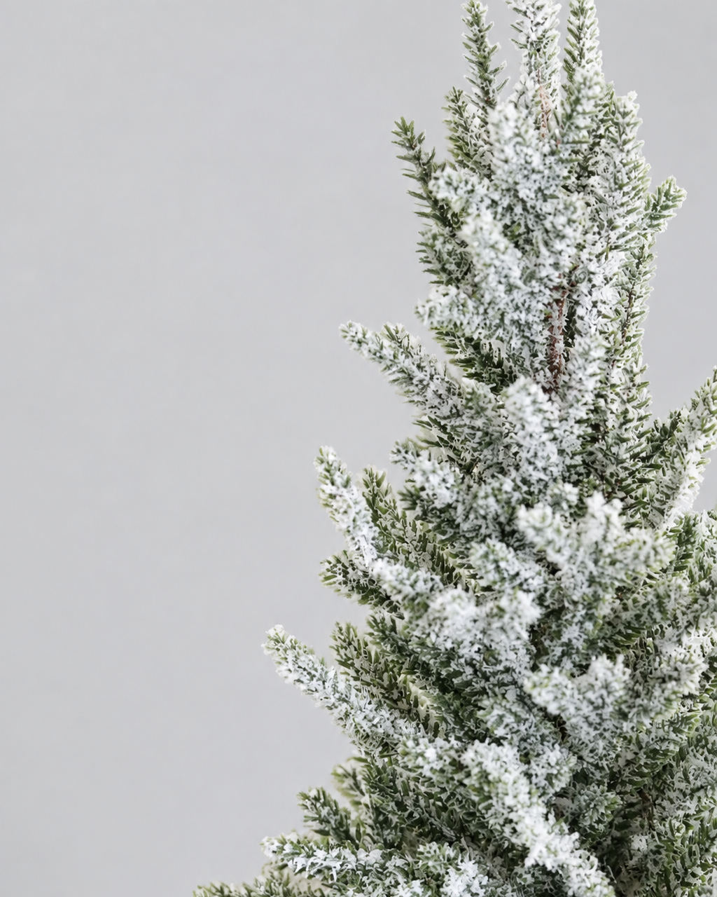 Snowy Pine Trees in Grey Cement Pot