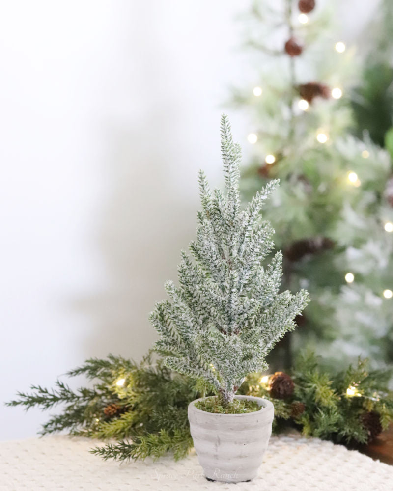 Snowy Pine Trees in Grey Cement Pots