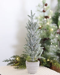 Snowy Pine Trees in Grey Cement Pots