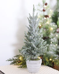 Snowy Pine Trees in Grey Cement Pots