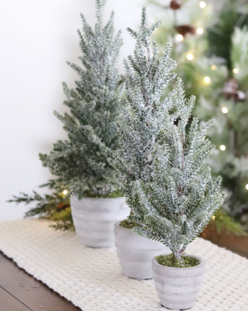 Snowy Pine Trees in Grey Cement Pots
