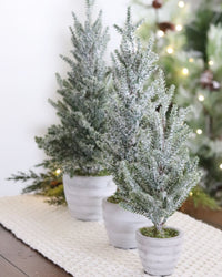Snowy Pine Trees in Grey Cement Pots