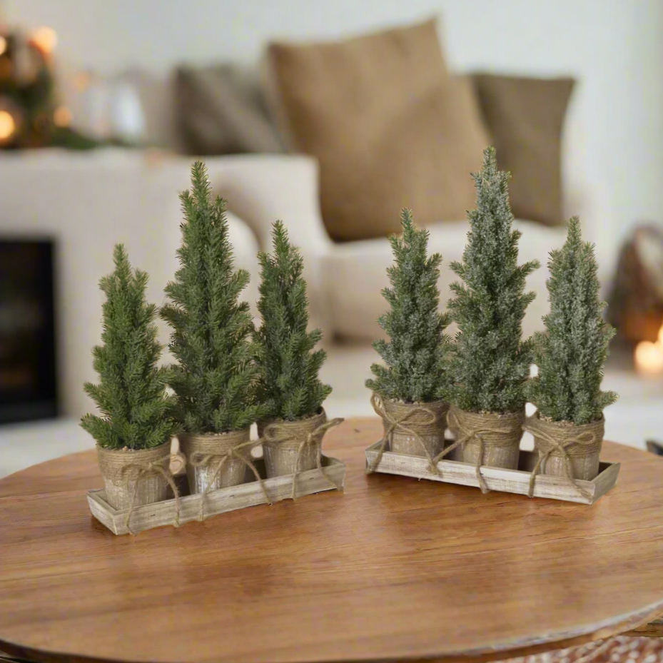 Potted Trees With Tray