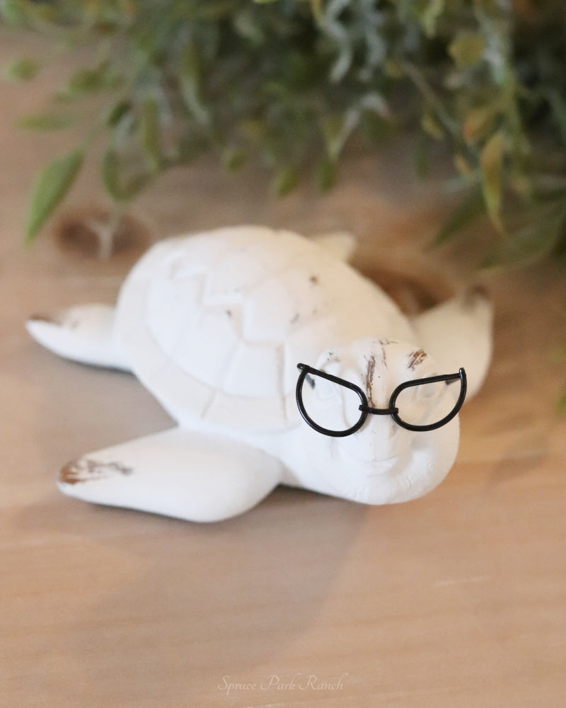 Whitewashed Turtle With Glasses