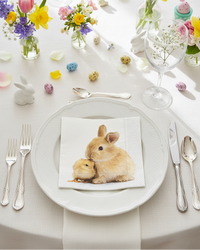 Spring and Summer Paper Napkins