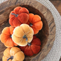 Mini Velvet Pumpkins