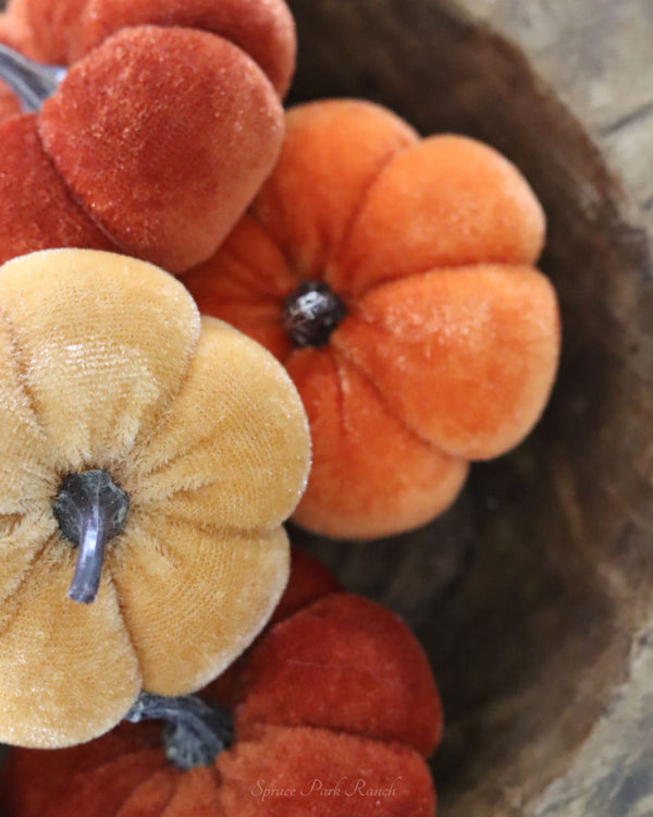 Mini Velvet Pumpkins